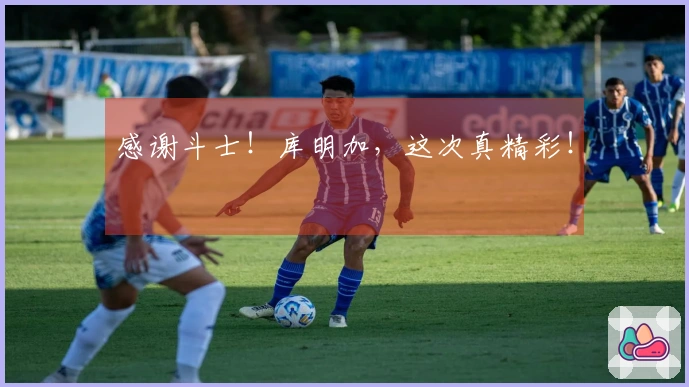 感谢斗士！库明加，这次真精彩！