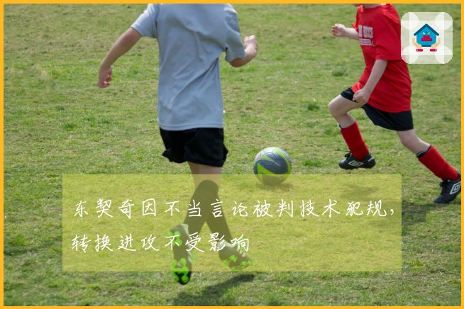 东契奇因不当言论被判技术犯规，转换进攻不受影响