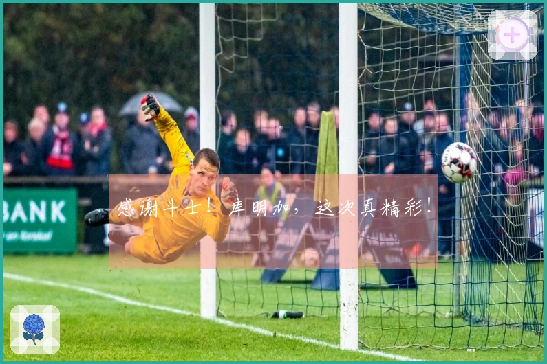 感谢斗士！库明加，这次真精彩！