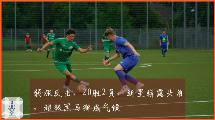 弱旅反击，20胜2负，新星崭露头角，超级黑马渐成气候